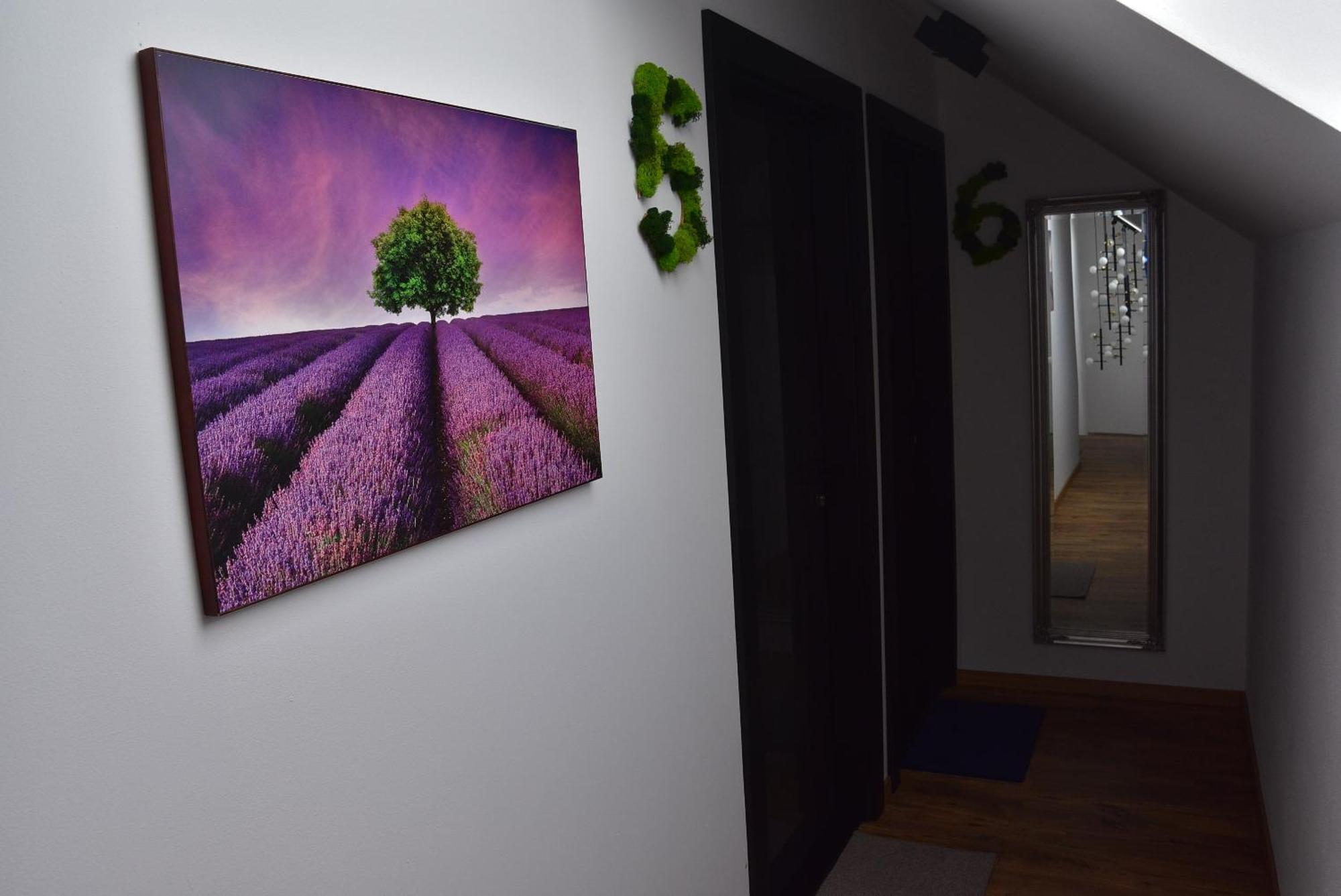 Apartmany Zakovce & Spa Vel'ka Lomnica Exterior photo